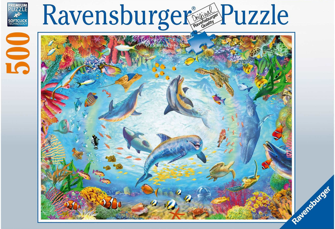 Rburg - Cave Dive 500pc