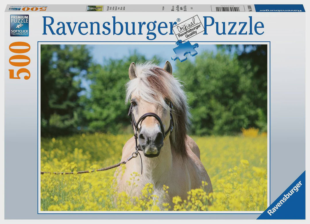 Rburg - White Horse 500pc