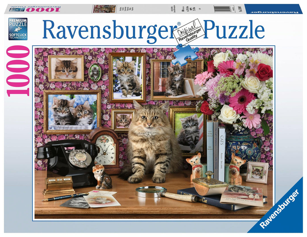 Rburg - My Cute Kitty 1000pc