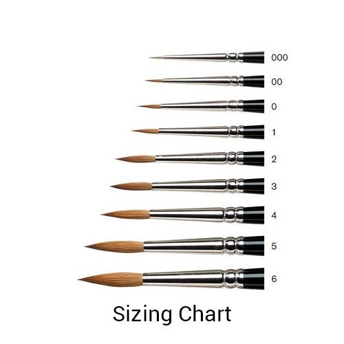 Winsor and Newton Brushes - Size 1