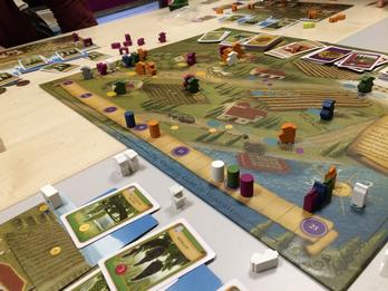Viticulture