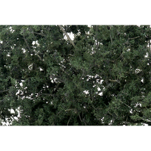 Load image into Gallery viewer, Woodland Scenics Dark Green Fine Leaf Fo
