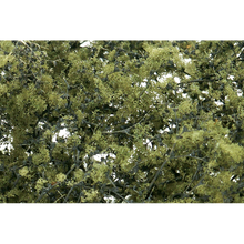 Load image into Gallery viewer, Woodland Scenics Olive Green Fine Leaf F
